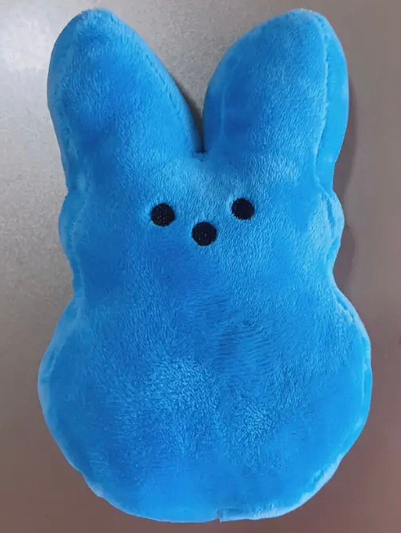 Personalized Coin Purse Plush, Easter Bunny, Easter Plush, Peep Plush, Coin Purse, Sublimation plush, bunny plush, Stash bunny